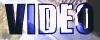 vid.gif (49285 byte)
